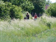 Májový běh pro zdraví